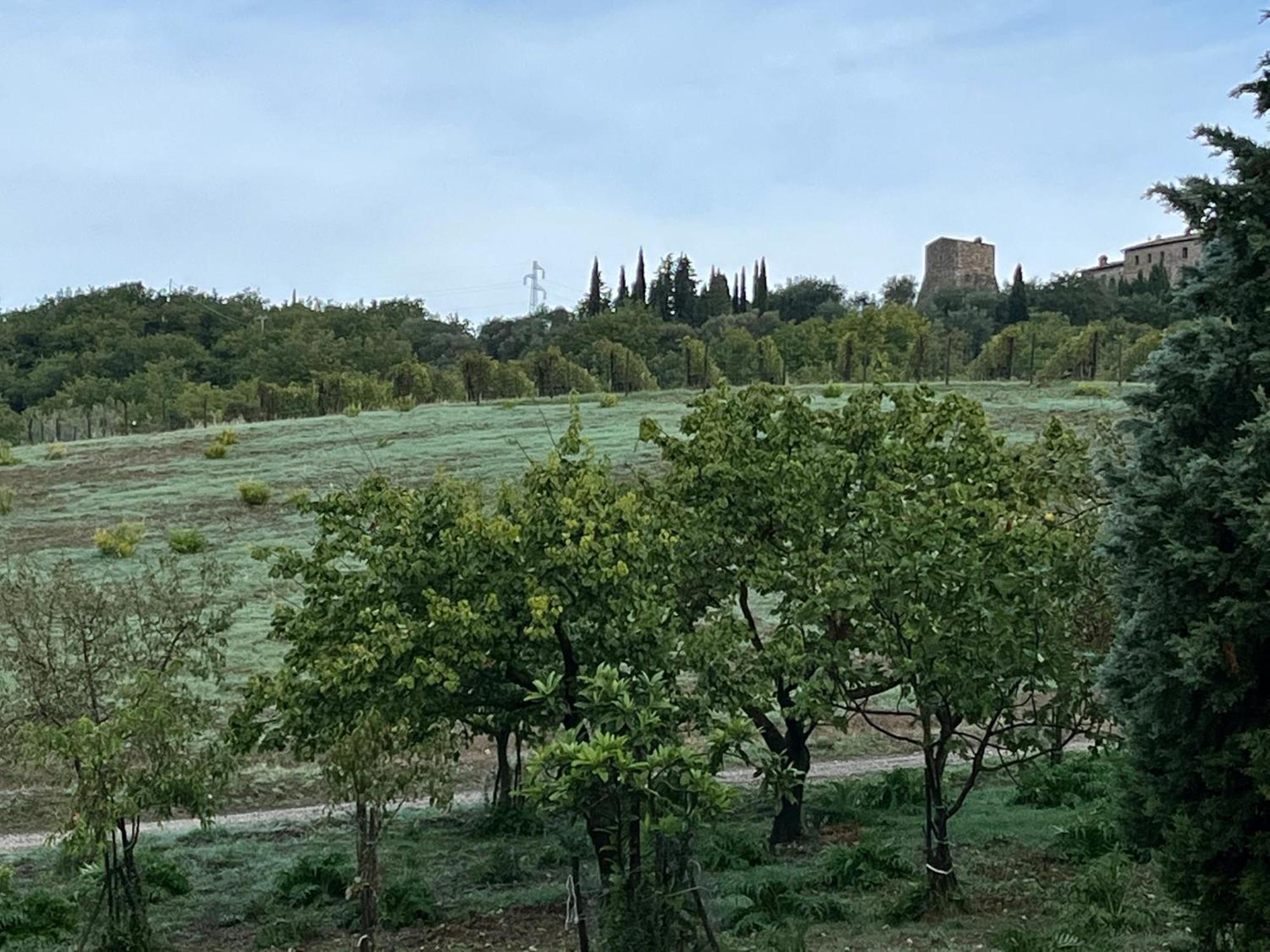 Agriturismo Le Querciole In Val D'Orcia Bagno Vignoni Exterior photo