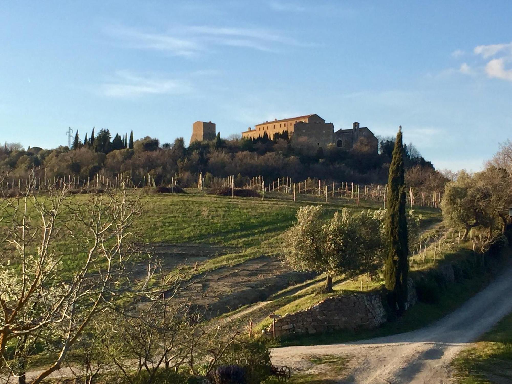 Agriturismo Le Querciole In Val D'Orcia Bagno Vignoni Exterior photo